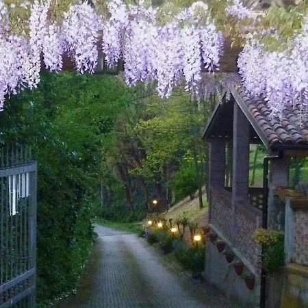 Bed & Breakfast Olimpia 4*