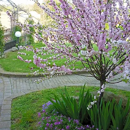 Olimpia לינה וארוחת בוקר San Salvatore Monferrato