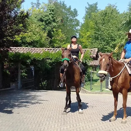 Olimpia San Salvatore Monferrato