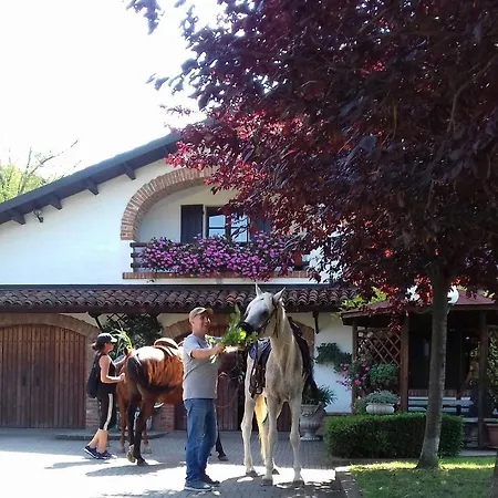 Olimpia San Salvatore Monferrato