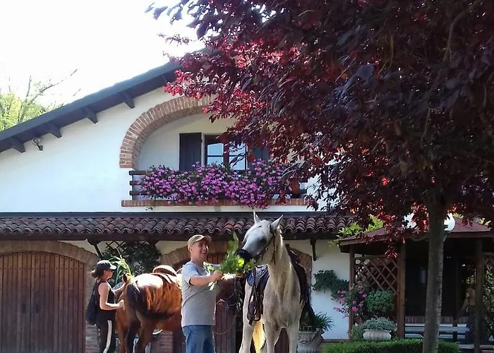 Olimpia San Salvatore Monferrato